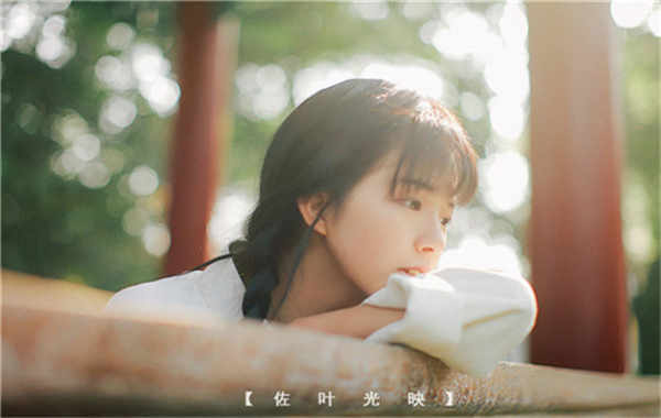 友好胎儿性别鉴定需要多少钱(胎儿性别鉴定的方法)